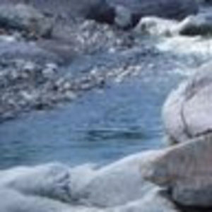 Meet your Posher, Jamee